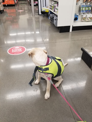 Pet Supply Store «Petco Animal Supplies», reviews and photos, 2687 Countryside Dr, Turlock, CA 95380, USA