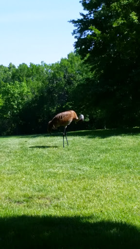 Golf Course «Elbel Golf Course», reviews and photos, 26595 Auten Rd, South Bend, IN 46628, USA