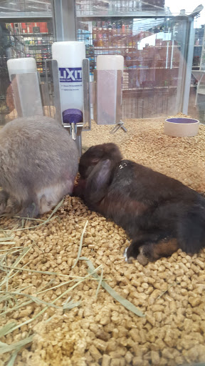 Pet Groomer «We Lov Pets», reviews and photos, 3853 Northpointe Dr, Zanesville, OH 43701, USA