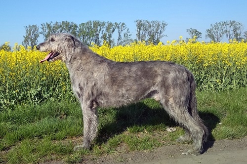 Szolnok, Sütő u. 9, 5000