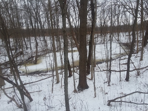 Nature Preserve «Leonard Preserve», reviews and photos, N Union St, Manchester, MI 48158, USA