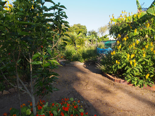 Cooroy Community Permaculture Gardens