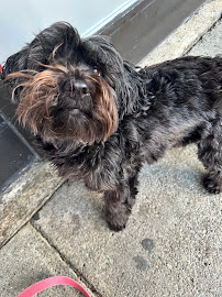 Sparkys Pet Palace - Photo 3 - Car repair in , Cambridge