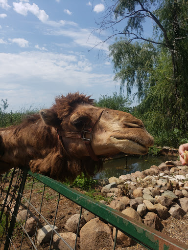 Zoo «Cricket Hollow Zoo», reviews and photos, 1512 210th St, Manchester, IA 52057, USA