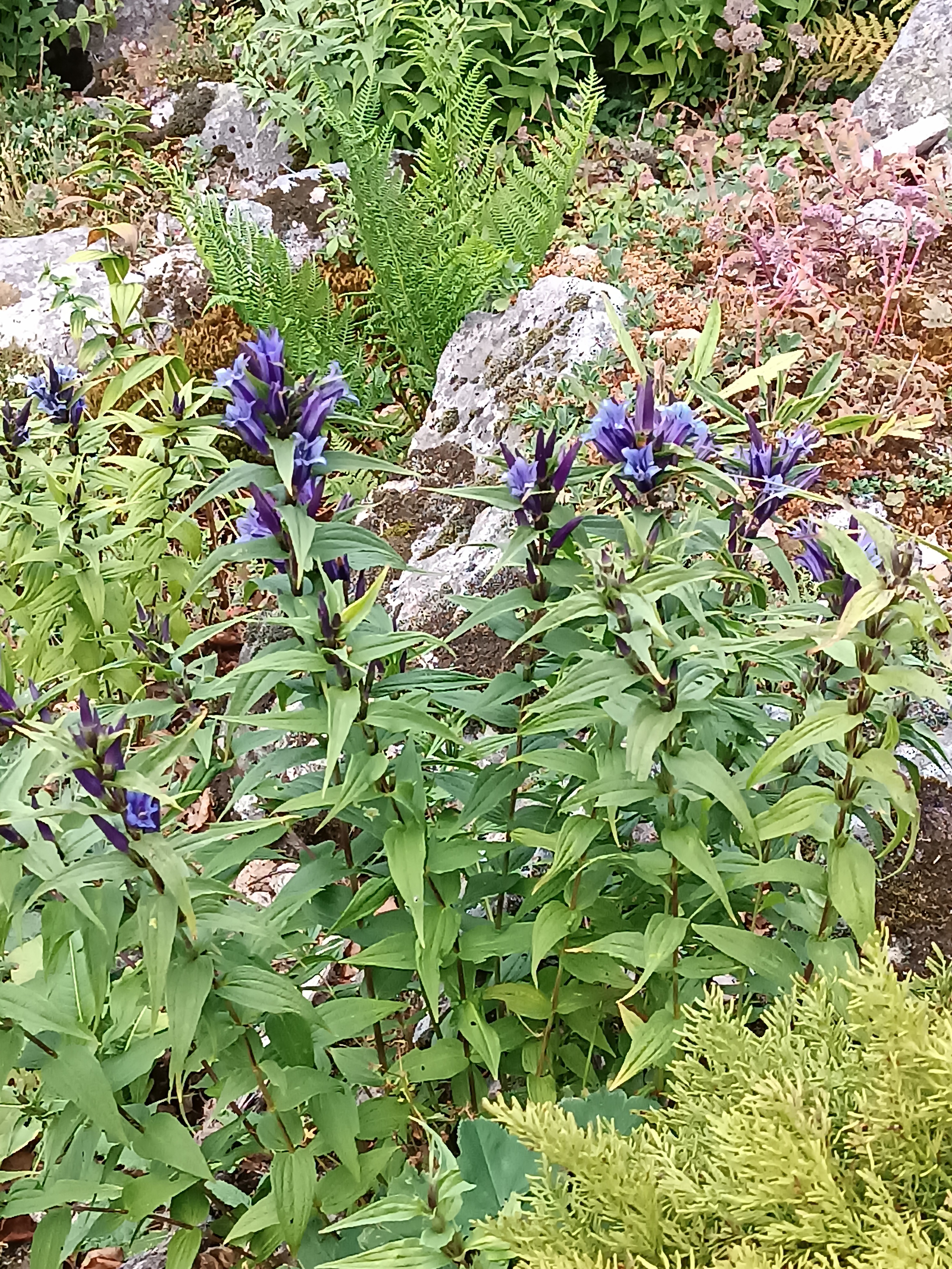 Photo n° 3 de l'avis de Luc.c fait le 03/08/2022 à 20:28