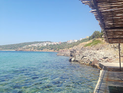 Aquarium beach'in fotoğrafı küçük koy ile birlikte