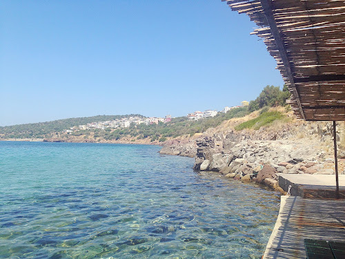 Aquarium beach photo #2