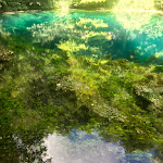 Photo n°7 de l'avis de Koel.a fait le 25/07/2020 à 18:59 sur le  Blautopfhaus Schönhofer am Blautopf à Blaubeuren