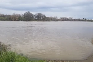 Miller Park Marina image