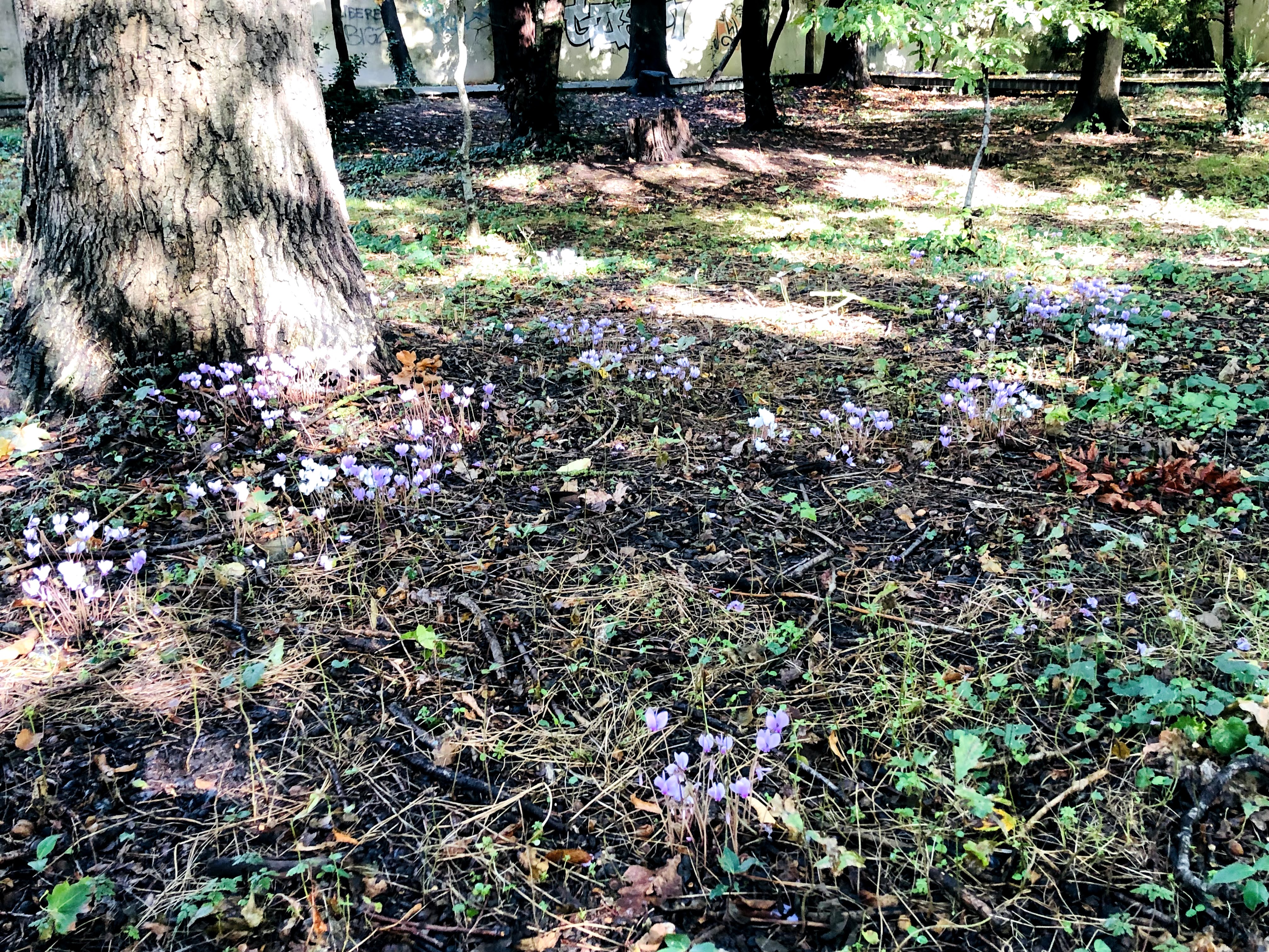 Photo n° 2 de l'avis de Sergiu.u fait le 04/10/2021 à 15:44
