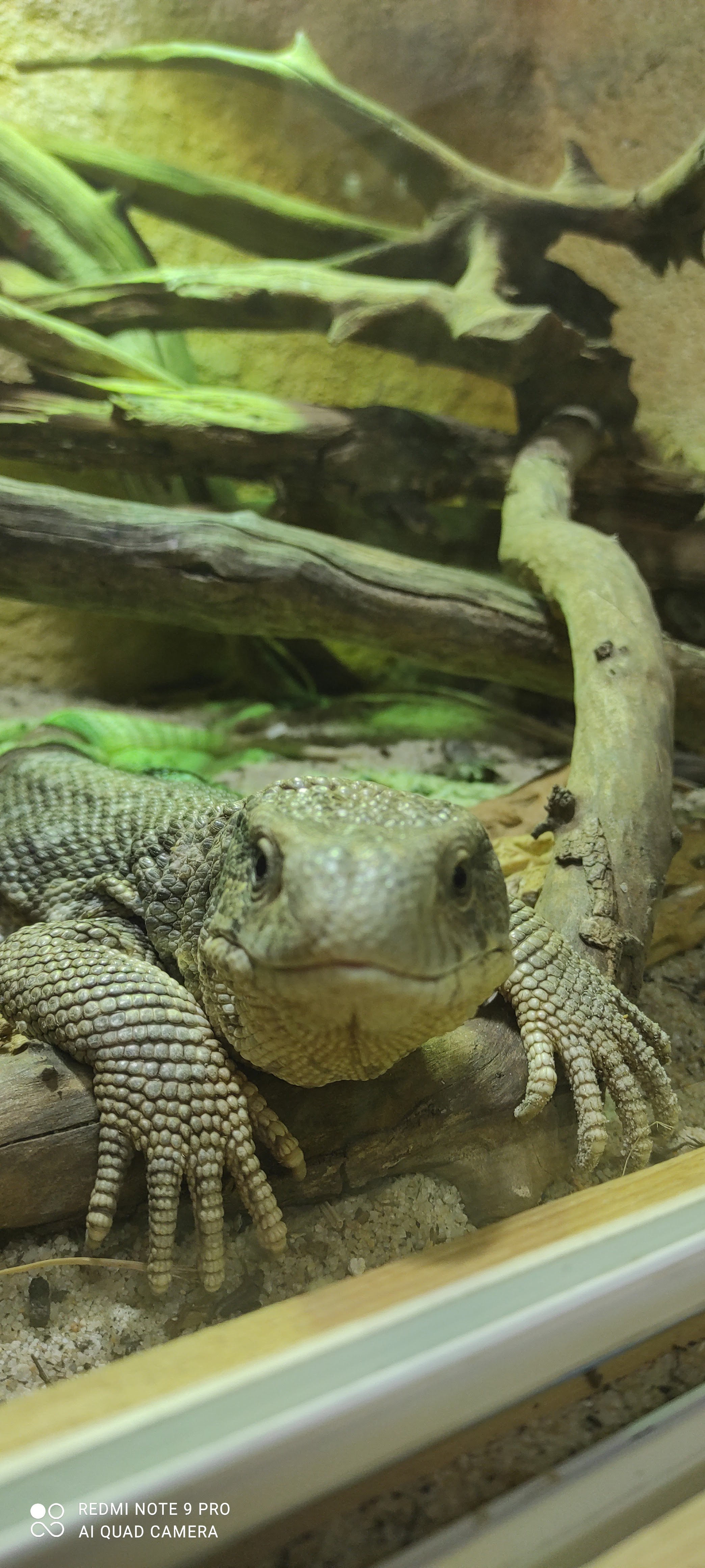 Photo n° 3 de l'avis de Stephane.S fait le 01/06/2021 à 13:52