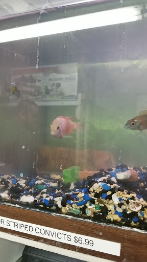 Animal Feed Store «Farmers Feed & Pet Supply», reviews and photos, 1302 E Miner Ave, Stockton, CA 95205, USA