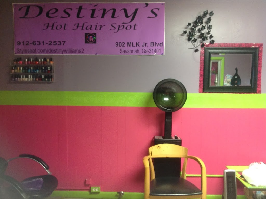 Destiny's Hot Hair Spot 31412