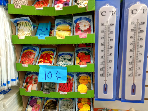 Dollar Store «Dollar Tree», reviews and photos, 1581 US-202, Pomona, NY 10970, USA