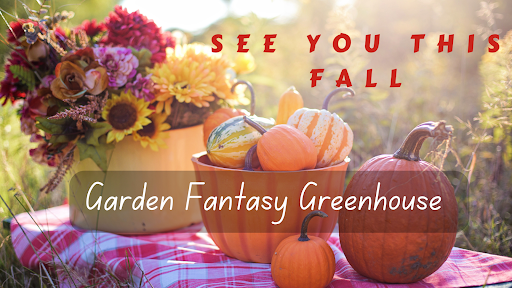 Wholesale Plant Nursery «Garden Fantasy», reviews and photos, 43250 Tyler Rd, Belleville, MI 48111, USA