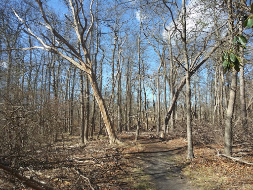 Nature Preserve «Seatuck Environmental Association», reviews and photos, 550 S Bay Ave, Islip, NY 11751, USA