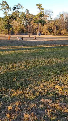 Dog Park «Maxey Park», reviews and photos, 601 Maxey Rd, Houston, TX 77013, USA