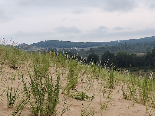 Tourist Attraction «Dune Climb», reviews and photos, 6748 S Dune Hwy, Glen Arbor, MI 49636, USA
