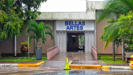 Facultad de Bellas Artes