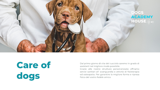 Pensioni per cani e dog hotel a Dogs Academy House