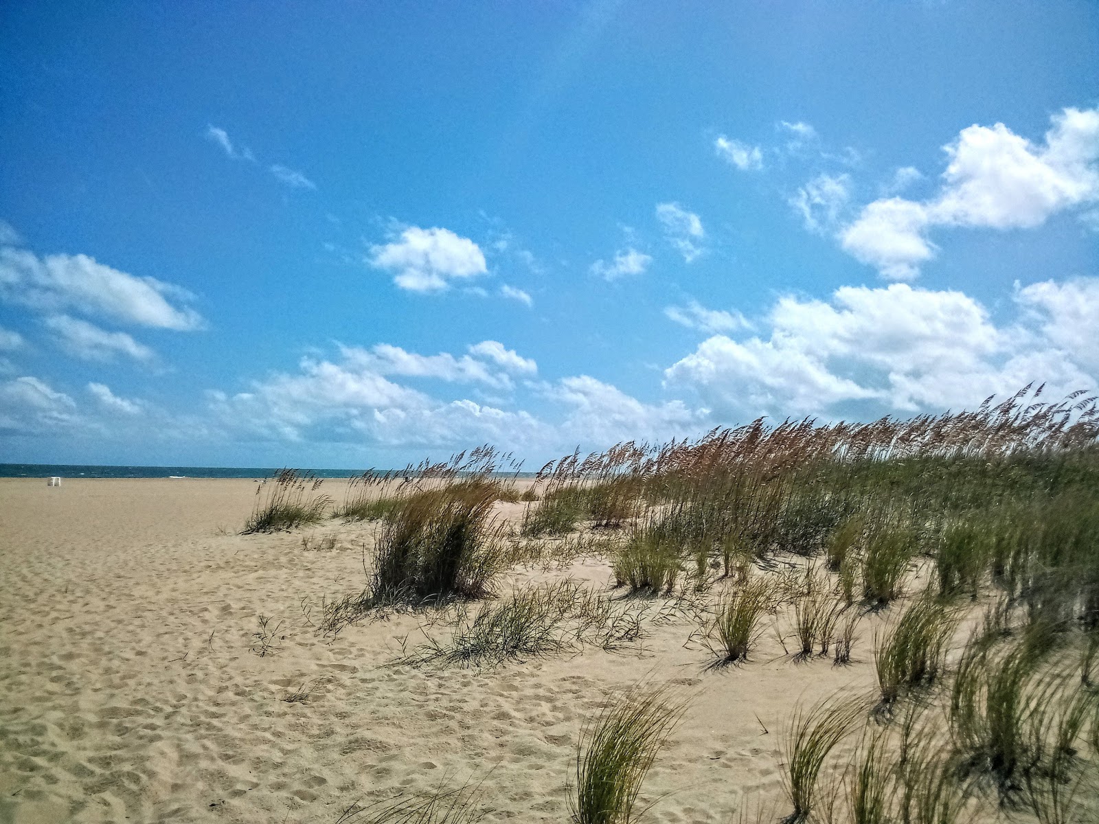 Foto van North End beach voorzieningenruimte