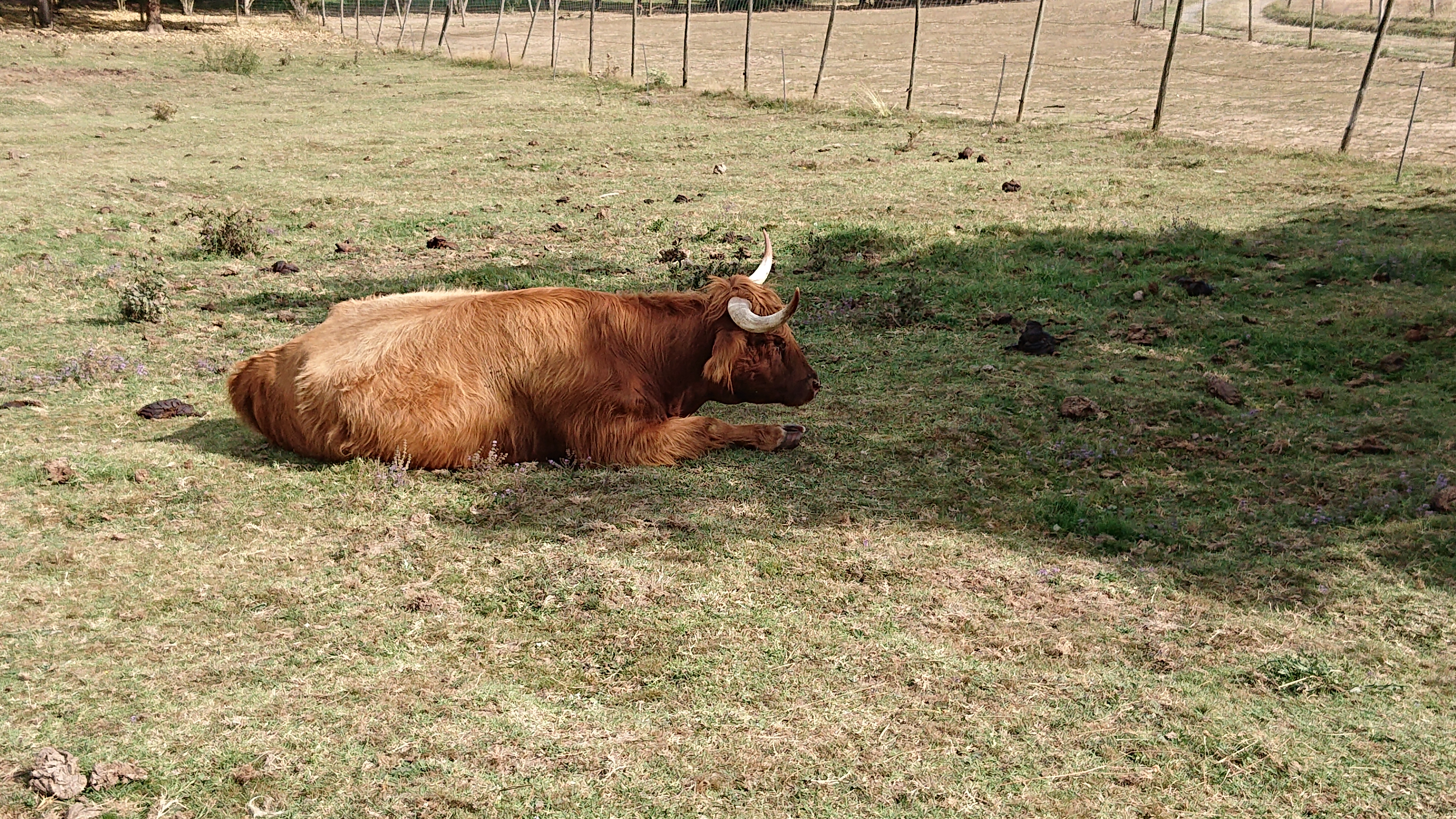 Photo n° 1 de l'avis de remi.e fait le 08/09/2019 à 11:31