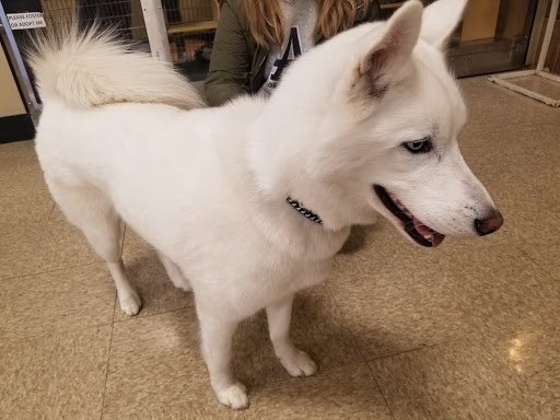 Pet Supply Store «PetSmart», reviews and photos, 12971 Fair Lakes Pkwy, Fairfax, VA 22033, USA