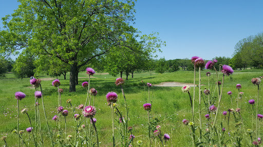 Golf «Pecan Hollow Golf Course», reviews and photos, 4901 14th St, Plano, TX 75074, USA