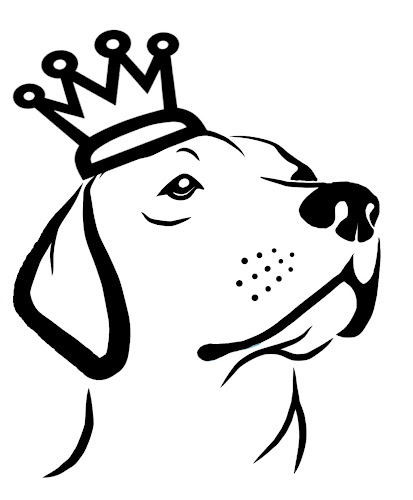Bark Royal Boarding Kennels - Dog trainer