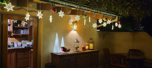 Emerald Iguana Inn image
