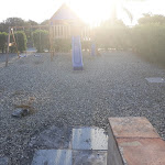 Photo n°9 de l'avis de Joanne.a fait le 28/02/2020 à 11:54 sur le  Land Of Dreams à Fiumefreddo di Sicilia