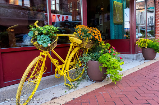 Dandelions Flowers, 120 S Walnut St, Muncie, IN 47305, USA, 