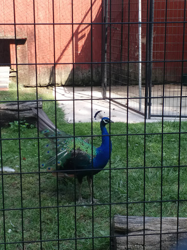 Park «Phillips Park», reviews and photos, 901 Ray Moses Dr, Aurora, IL 60505, USA