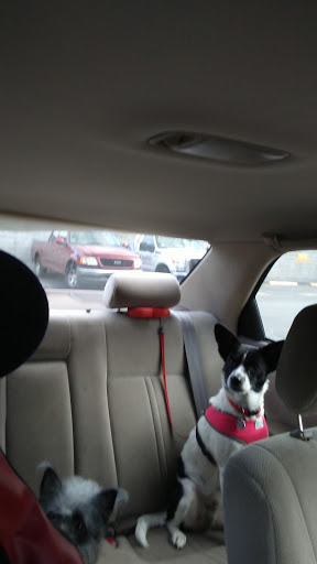 Supermarket «El Ahorro SuperMarket # 3», reviews and photos, 5859 Bissonnet St, Bellaire, TX 77401, USA