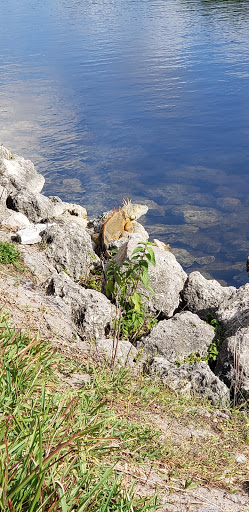 Private Golf Course «Adios Golf Course», reviews and photos, 7740 NW 39th Ave, Coconut Creek, FL 33073, USA