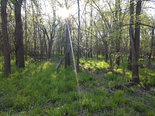 Park «Bob Jones Park», reviews and photos, 3901 N White Chapel Blvd, Southlake, TX 76092, USA