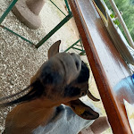 Photo n°3 de l'avis de Super.a fait le 31/07/2022 à 17:11 sur le  Rifugio Marinzen à Kastelruth