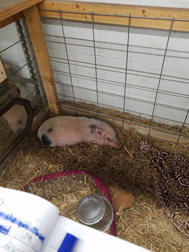 Hardware Store «Buchheit of House Springs», reviews and photos, 4550 Gravois Rd, House Springs, MO 63051, USA