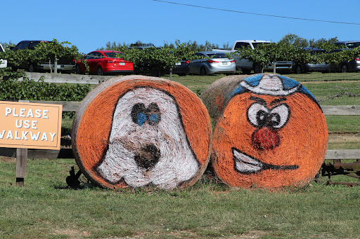 Farm «Jaemor Farms», reviews and photos, 5340 Cornelia Hwy, Alto, GA 30510, USA