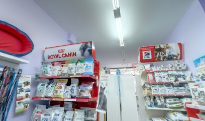 Pintxo Peluquería Canina - Servicios para mascota en Bilbao