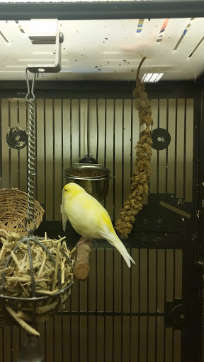 Pet Supply Store «PetSmart», reviews and photos, 1196 W Olive Ave, Merced, CA 95348, USA