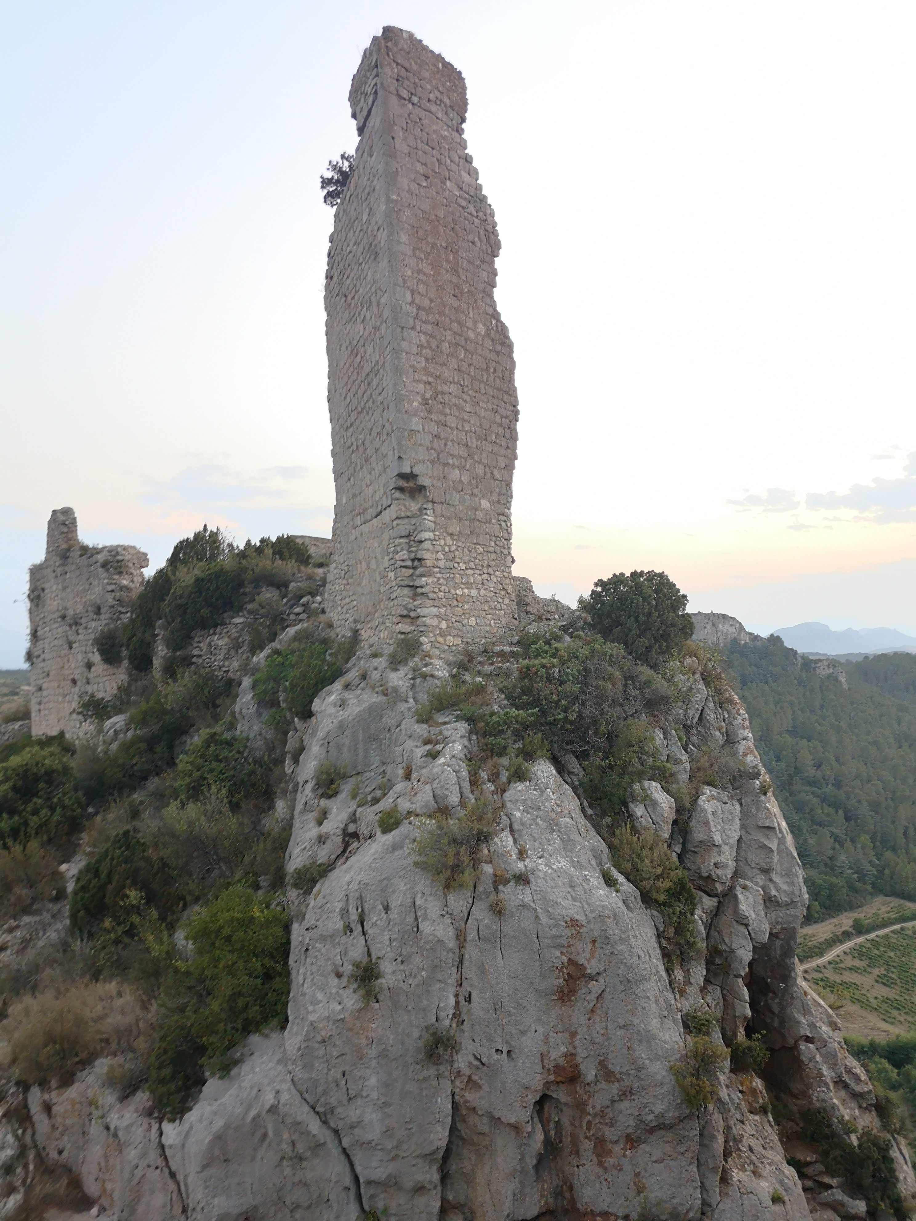 Photo n° 1 de l'avis de Sergkei.a fait le 12/11/2021 à 17:48