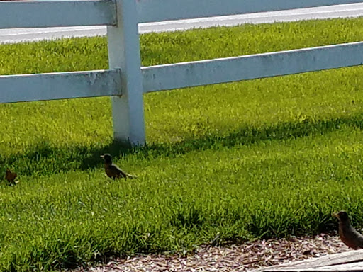 Tourist Attraction «Amish Experience», reviews and photos, 3121 Old Philadelphia Pike, Bird in Hand, PA 17505, USA