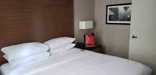 Hotel «Embassy Suites Chicago Downtown Magnificent Mile», reviews and photos, 511 N Columbus Dr, Chicago, IL 60611, USA