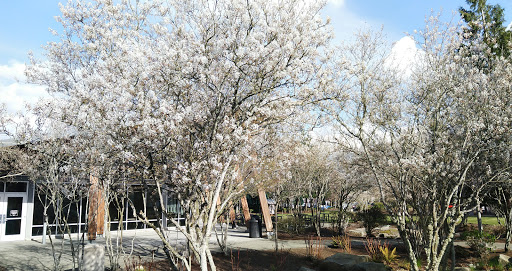 Camping Store «REI Headquarters», reviews and photos, 6750 S 228th St, Kent, WA 98032, USA