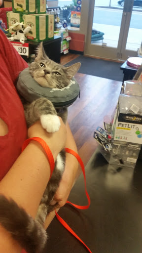 Pet Valu, 3491 Merchant Boulevard, Abingdon, MD 21009, USA, 