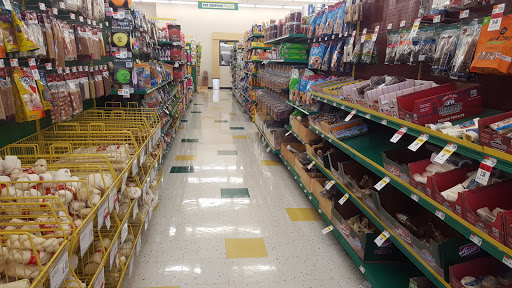 Pet Supply Store «Pet Supplies Plus», reviews and photos, 4405 Milestrip Rd, Blasdell, NY 14219, USA