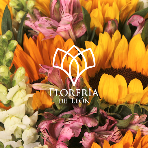 Florería de León - floreriadeleon.com