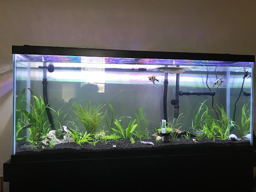 Pet Supply Store «Monster Aquarium Inc.», reviews and photos, 131-08 40 Rd, Flushing, NY 11354, USA