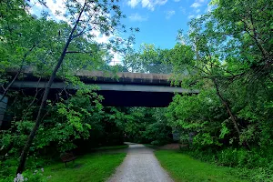 Torrey C. Brown Rail Trail image